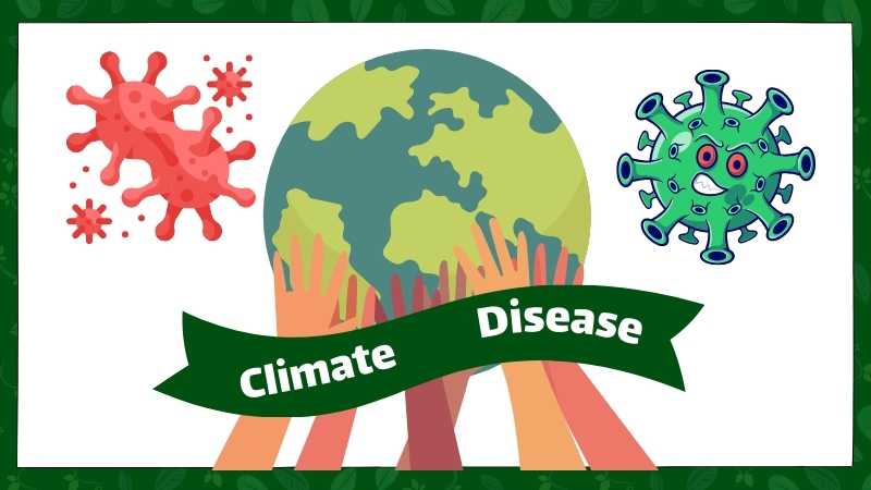 Diseases and Climate 1 OET reading