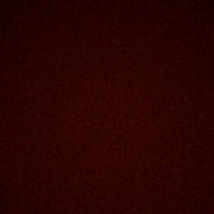 تصویر پروفایل  mobina sharifzadeh